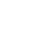 Lu wei icon
